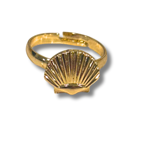 Shell ring